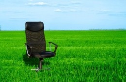 Mobilier de bureau & écologique, impact sur l'environnement