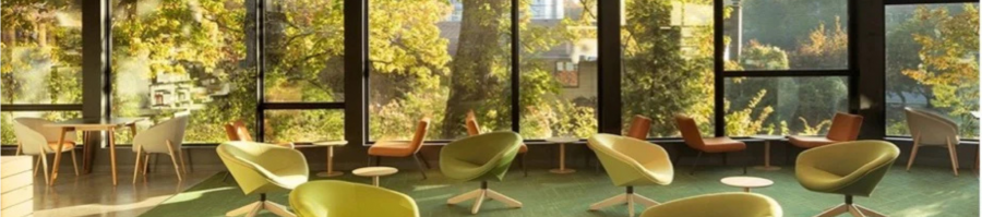 La biophilie au bureau et dans vos espaces de vie